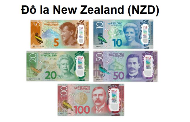 nzd to vnd