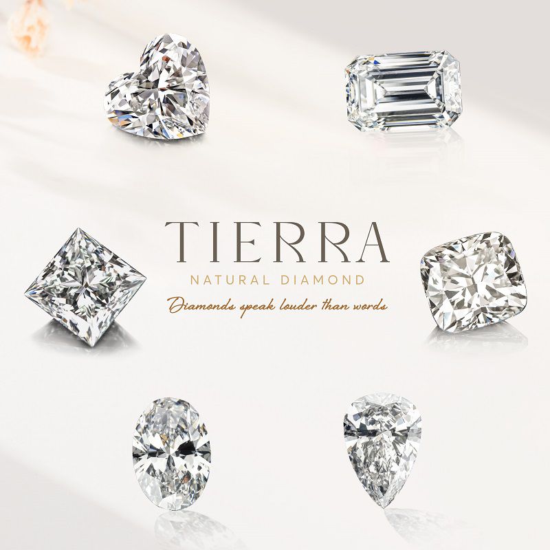 Tierra Diamond – Kim cương Thiên nhiên