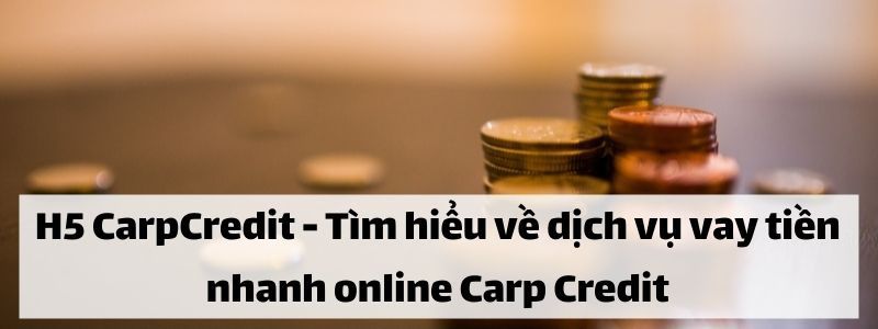 Thông tin về khoản vay tại CarpCredit